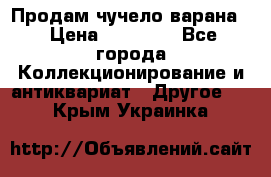 Продам чучело варана. › Цена ­ 15 000 - Все города Коллекционирование и антиквариат » Другое   . Крым,Украинка